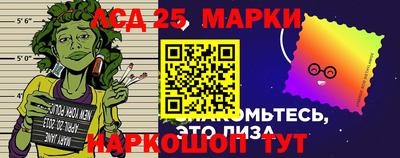 PSILOCYBIN Тверь