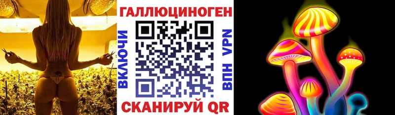 Псилоцибиновые грибы MAGIC MUSHROOMS  дарнет шоп  mega зеркало  Североморск 