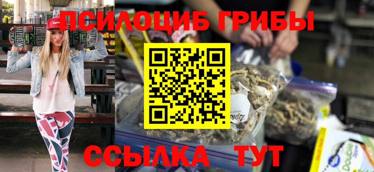 Псилоцибиновые грибы Psilocybine cubensis  где купить наркоту  Североморск  Вход с VPN  Галлюциногенные грибы мицелий 